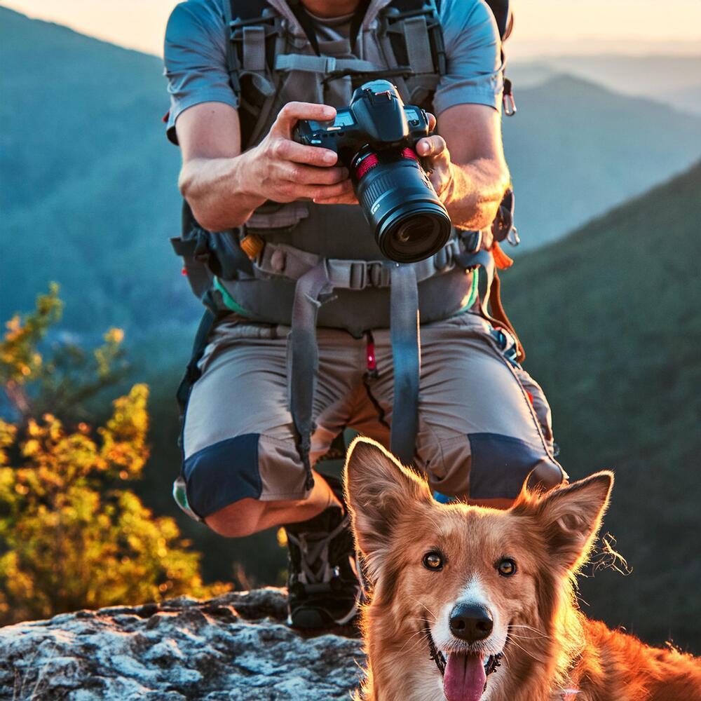 Evcil Hayvan Fotoğrafçılığı nasıl yapılır